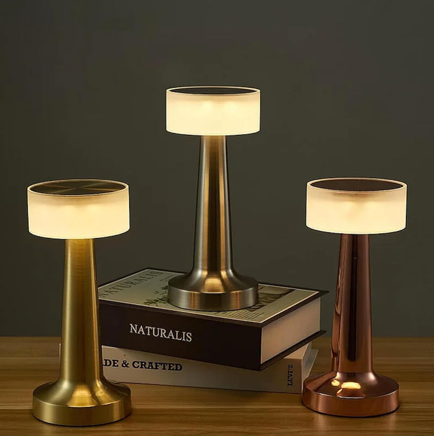 Table Lamp with 2000mAh Battery – Metal Gold Finish